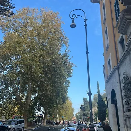 Emporio 36 Boutique *